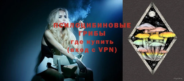 стаф Беломорск