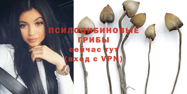 круглые Белокуриха